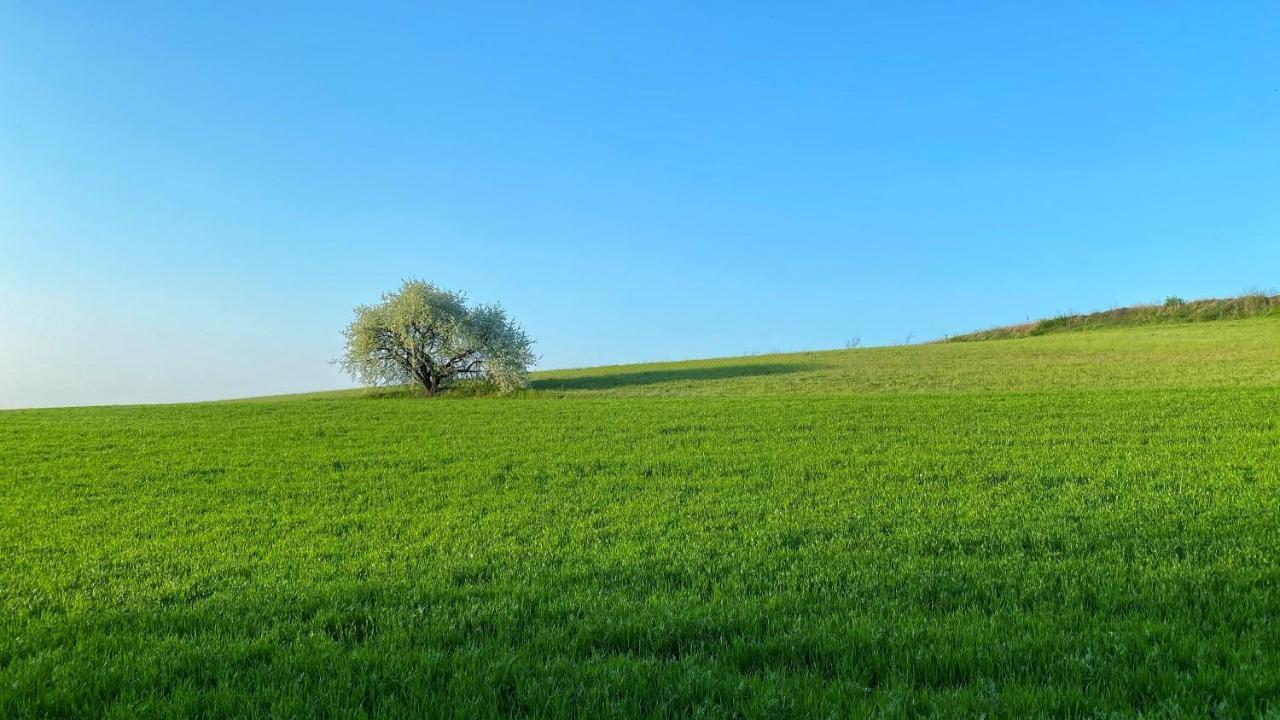 Agriturismo Albana Кастильоне-делле-Стивьере Экстерьер фото